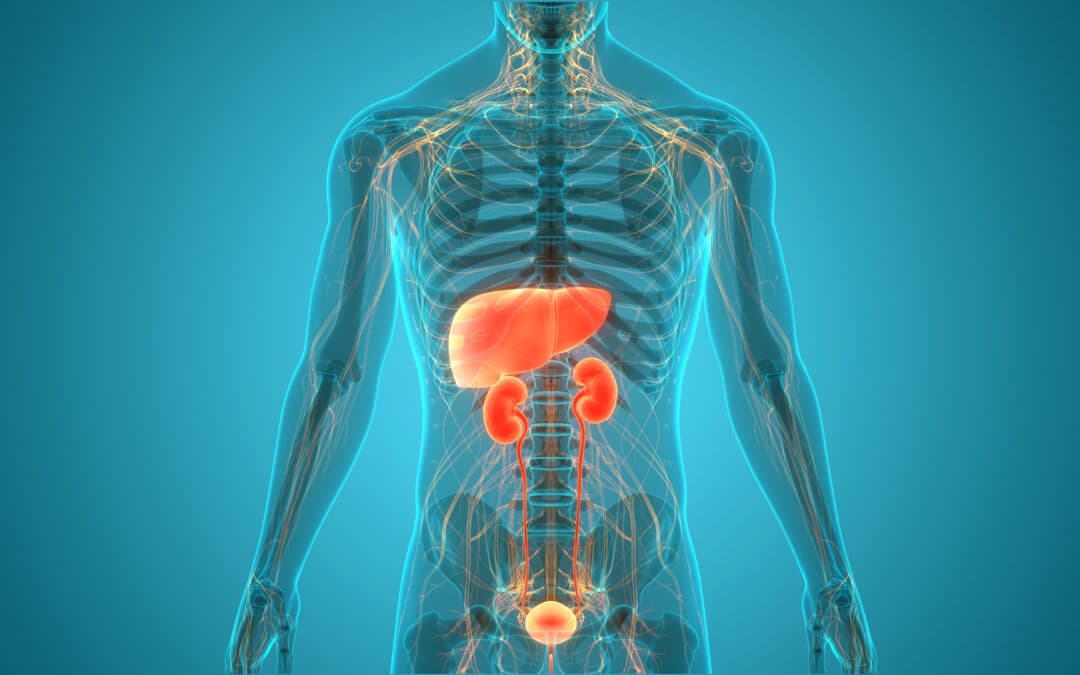 Renal and Hepatic Impairment Studies