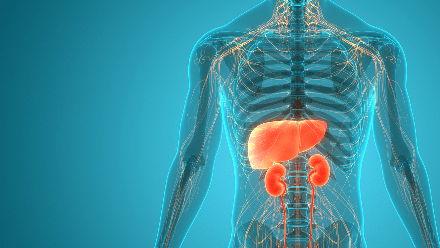 Effective Study Design and Execution of Renal and Hepatic Impairment Trials